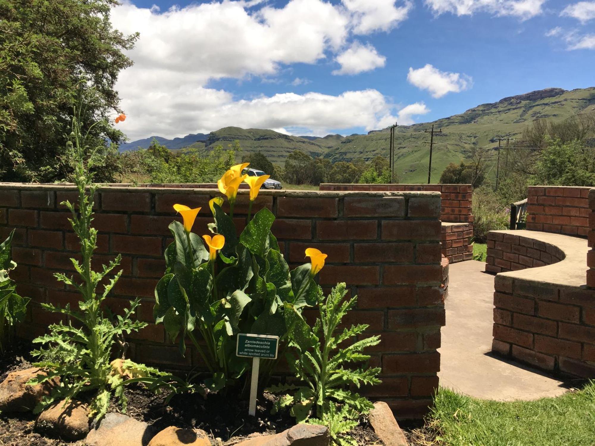 Sani Lodge & Cottages Sanipass Exterior foto